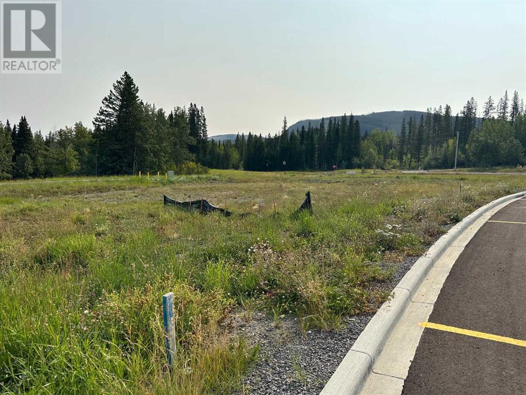 For sale 108 Centre Street, Nordegg, Alberta T0M0H0 A2076059