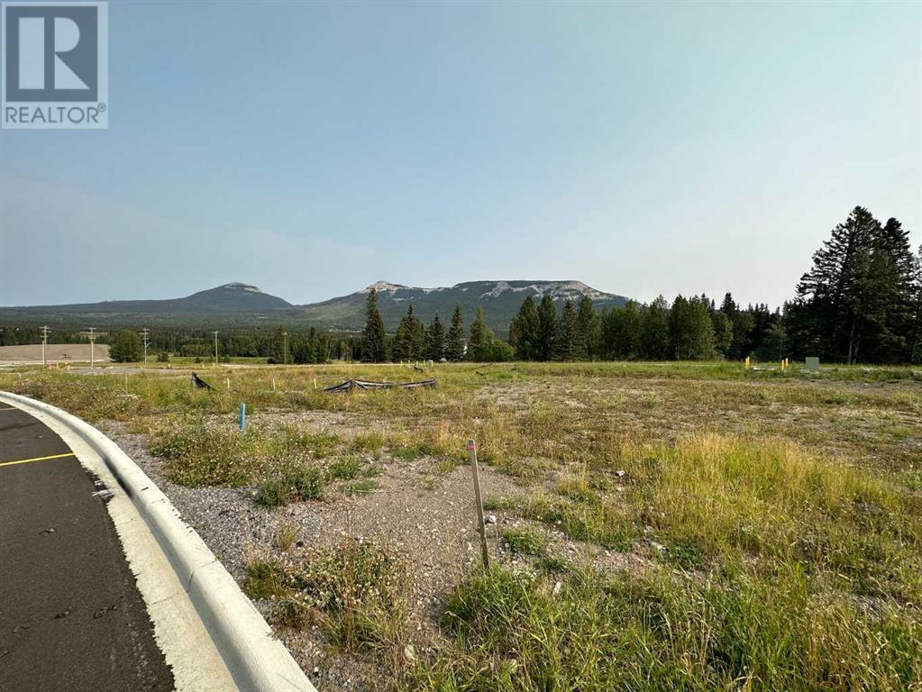 For sale 108 Centre Street, Nordegg, Alberta T0M0H0 A2076059