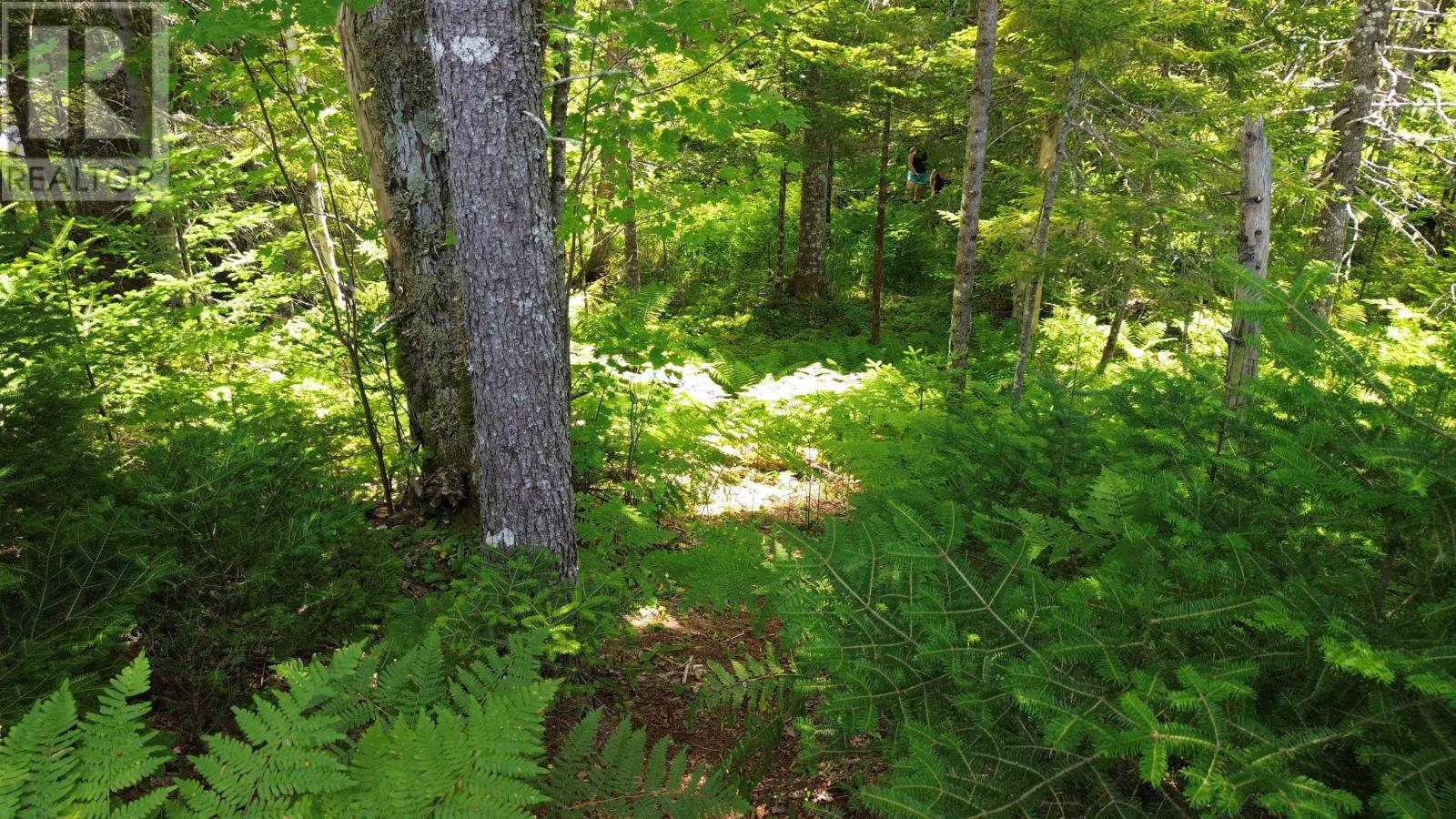 For sale Lot Perotte Road, Perotte, Nova Scotia B0S1A0 202317385