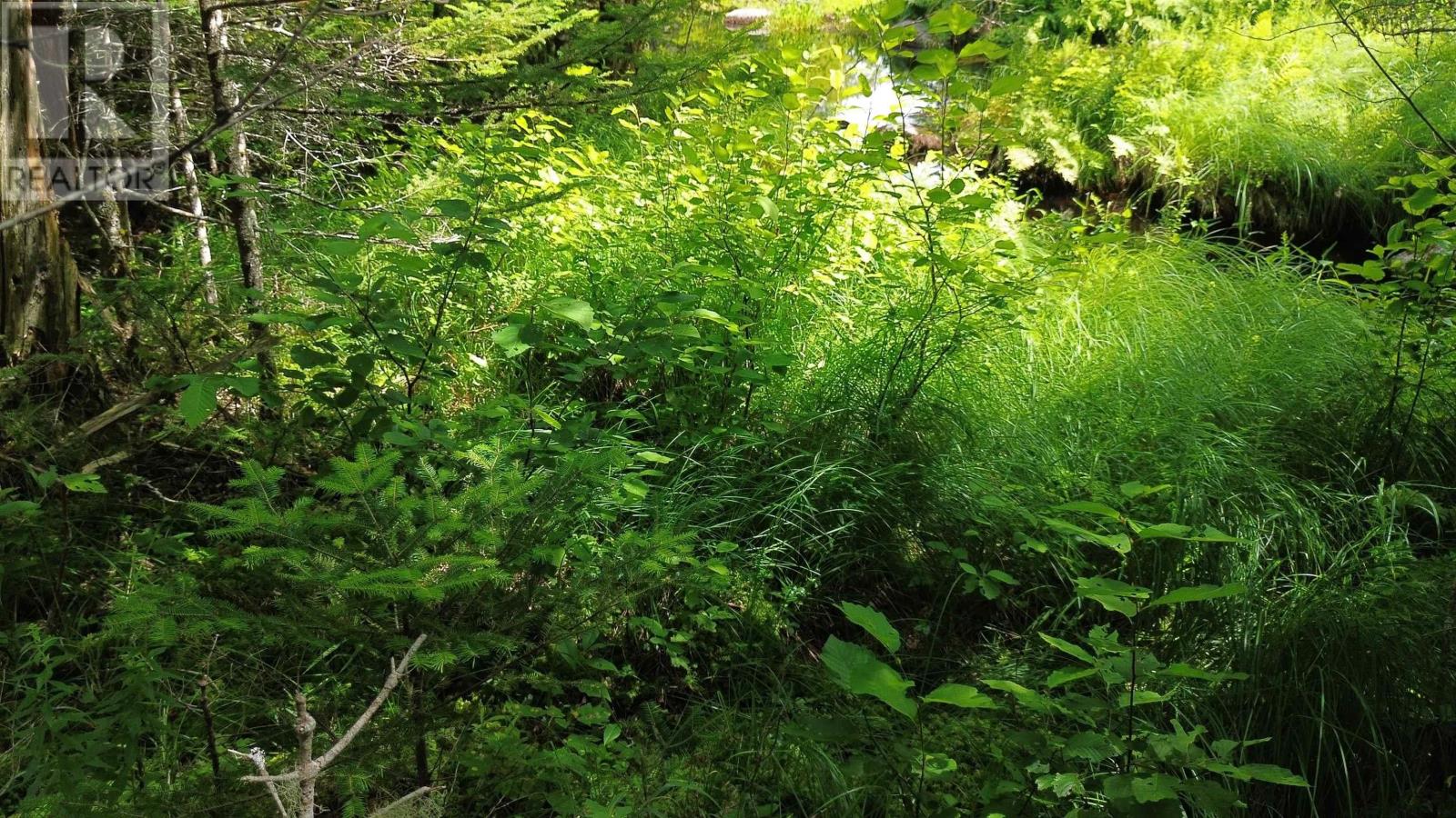 For sale Lot Perotte Road, Perotte, Nova Scotia B0S1A0 202317385