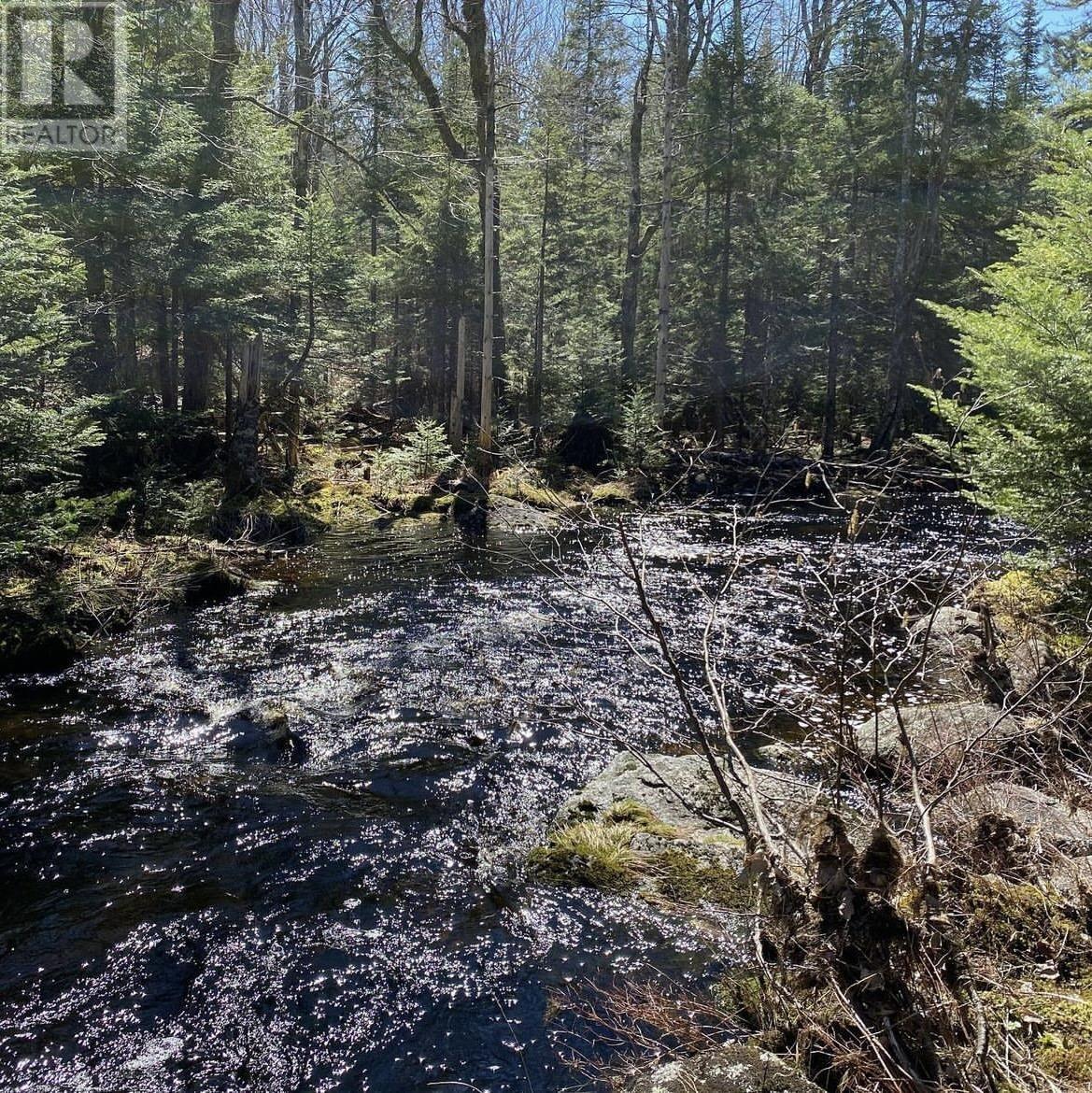 For sale Lot Perotte Road, Perotte, Nova Scotia B0S1A0 202317385