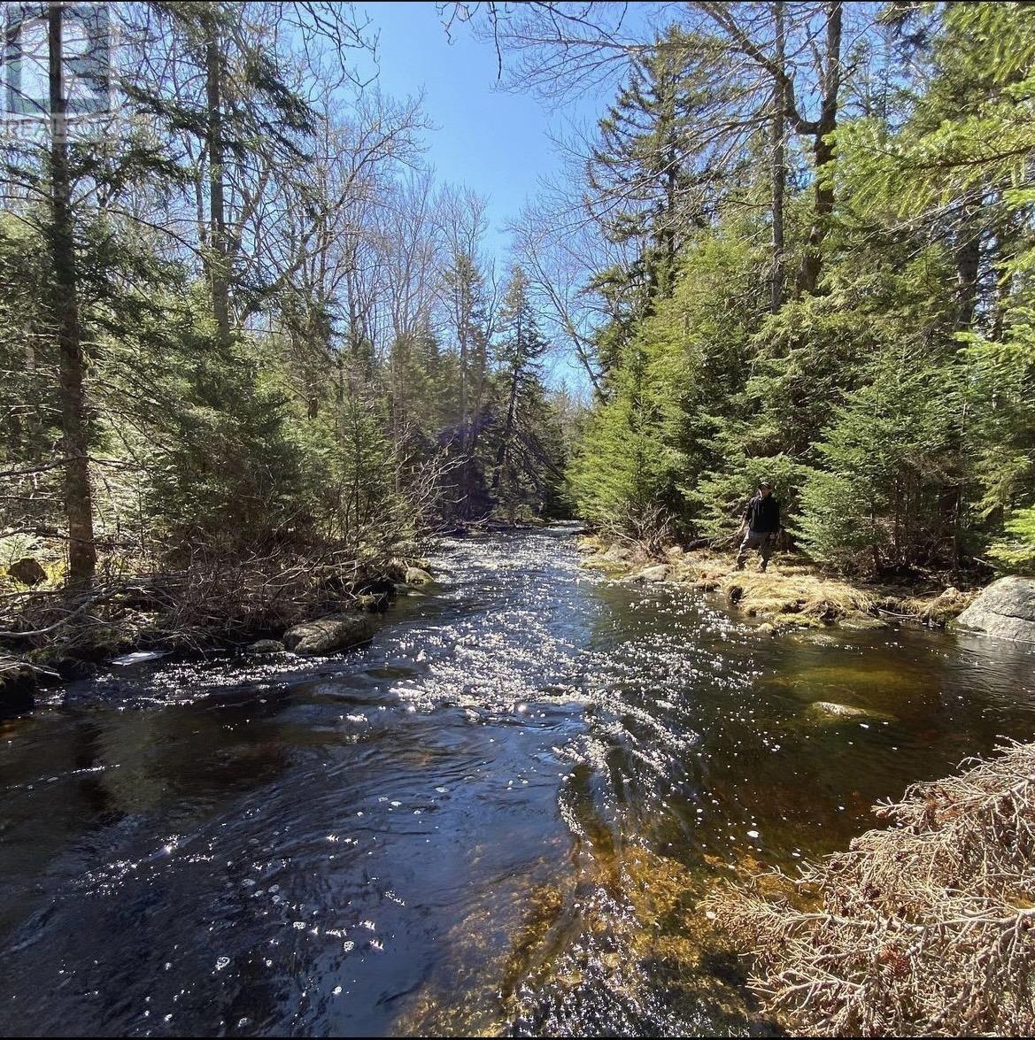 For sale Lot Perotte Road, Perotte, Nova Scotia B0S1A0 202317385