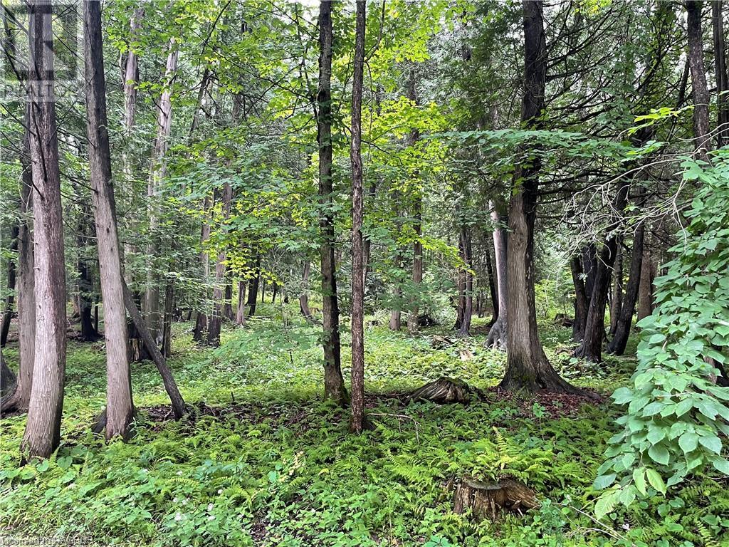 For sale 033443 GREY ROAD 28, West Grey, Ontario N4N3B9 40474665