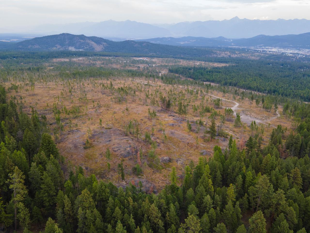 For sale DL4841 NEW LAKE ROAD, Cranbrook, British Columbia V1C6V5