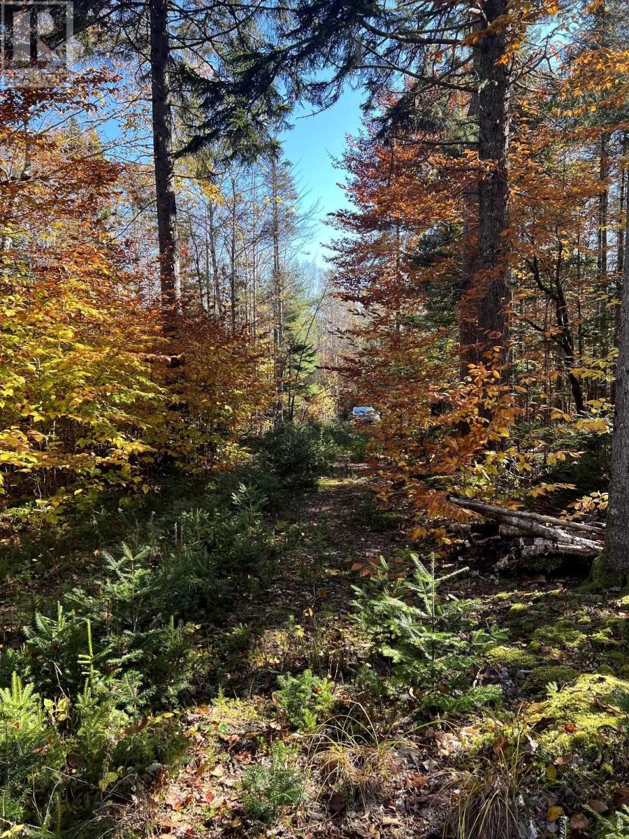 For sale 0 Gilberts Lane, Maplewood, Nova Scotia B0R1A0 202317502