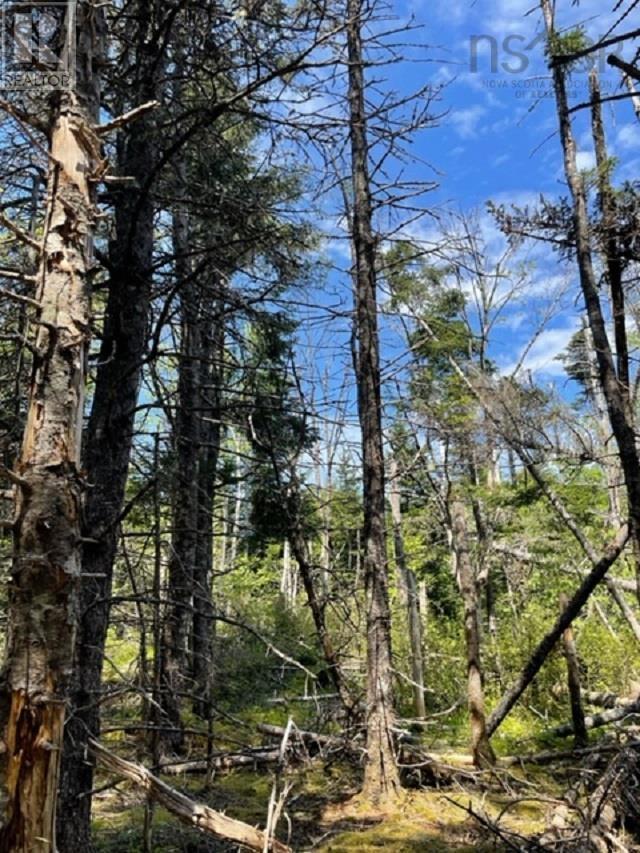 For sale Fourchu Road, Framboise, Nova Scotia B0A1K0 202318474