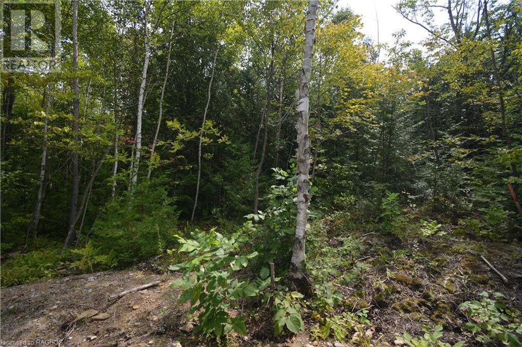 For sale 41 NOBLE Drive, Miller Lake, Ontario N0H1Z0 40477727