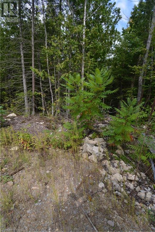 For sale 41 NOBLE Drive, Miller Lake, Ontario N0H1Z0 40477727