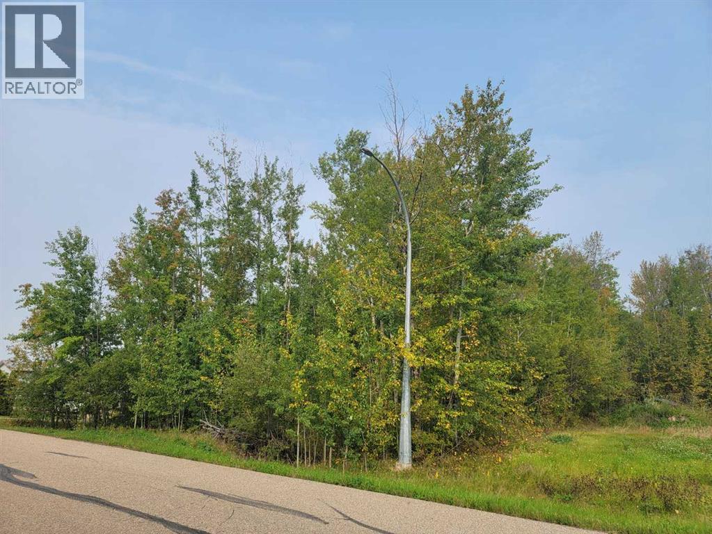 For sale 5404 Spruce Avenue, Wandering River, Alberta T0A3M0