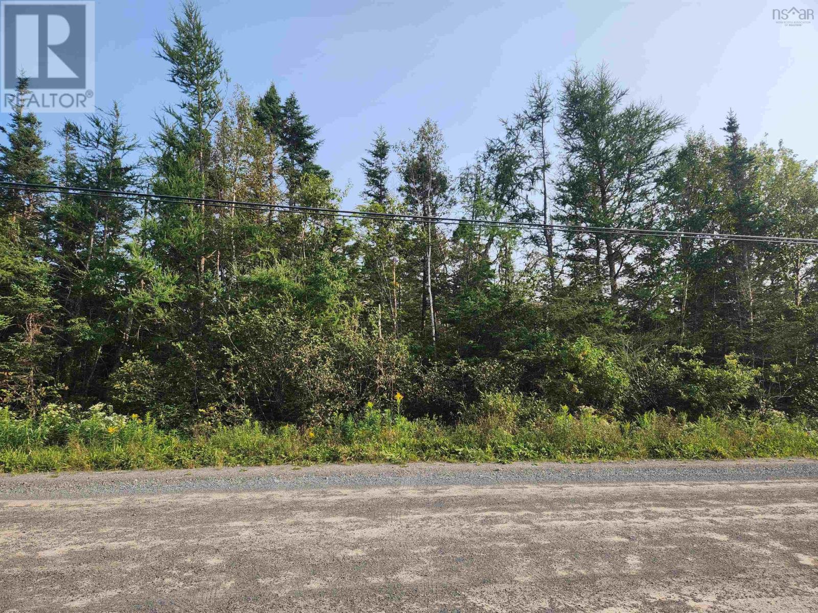 For sale Ostrea Lake Road, Ostrea Lake, Nova Scotia B0J2L0 202319305 REALTOR.ca