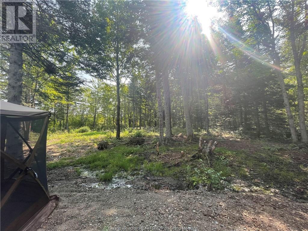 For sale 11870 Route 126, Collette, New Brunswick E4Y2T3 M155111