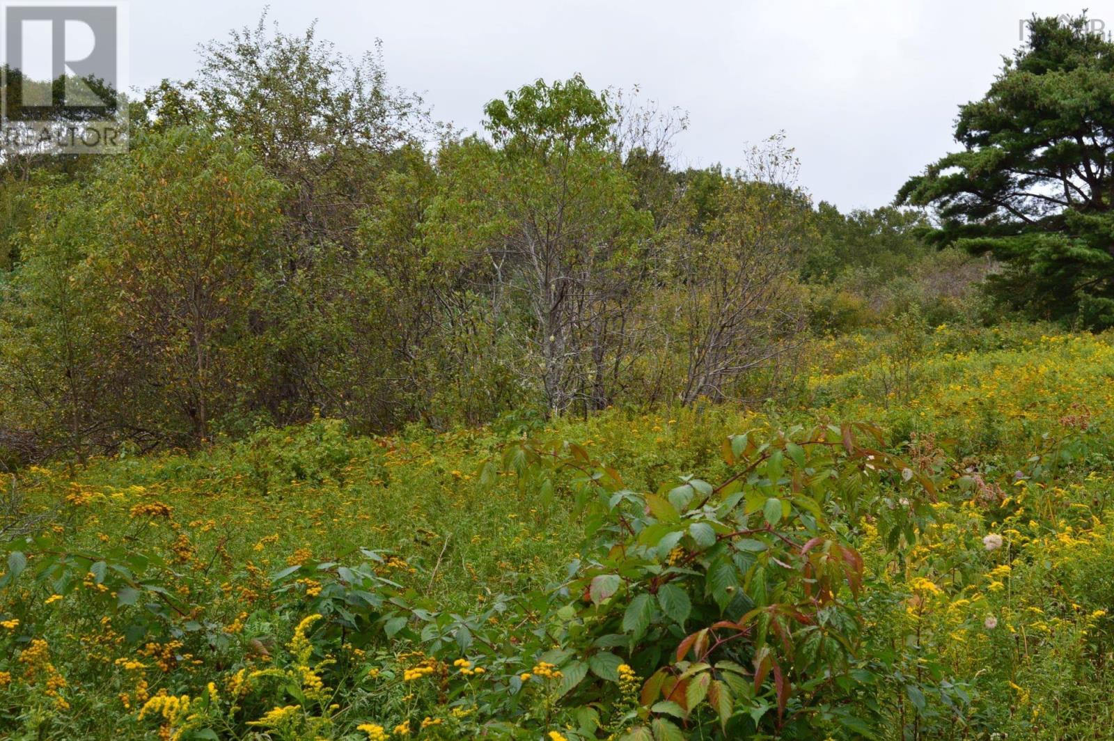 For sale Lots Highway 332, (7 Pid's), East Lahave, Nova Scotia B4V0V7