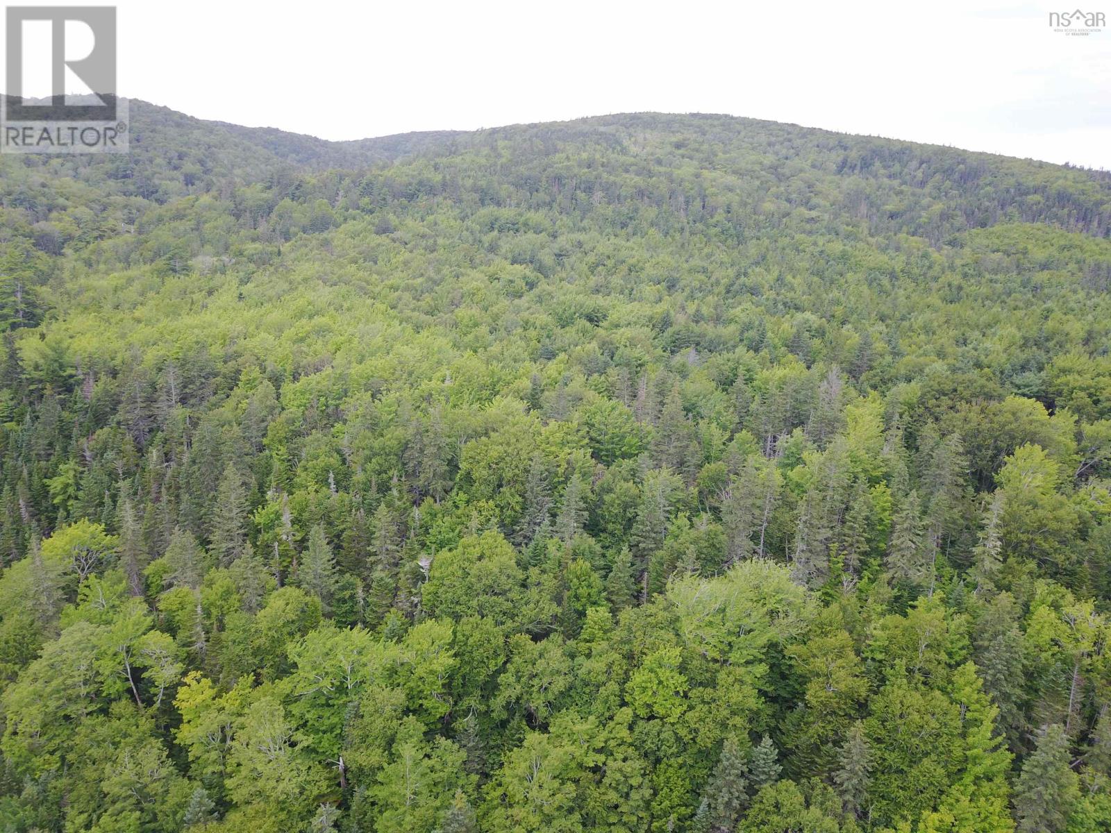 For sale 6371 HIGHWAY 395 Highway, Southwest Margaree, Nova Scotia