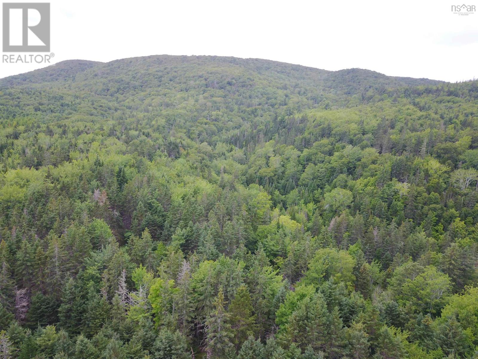 For sale 6371 HIGHWAY 395 Highway, Southwest Margaree, Nova Scotia