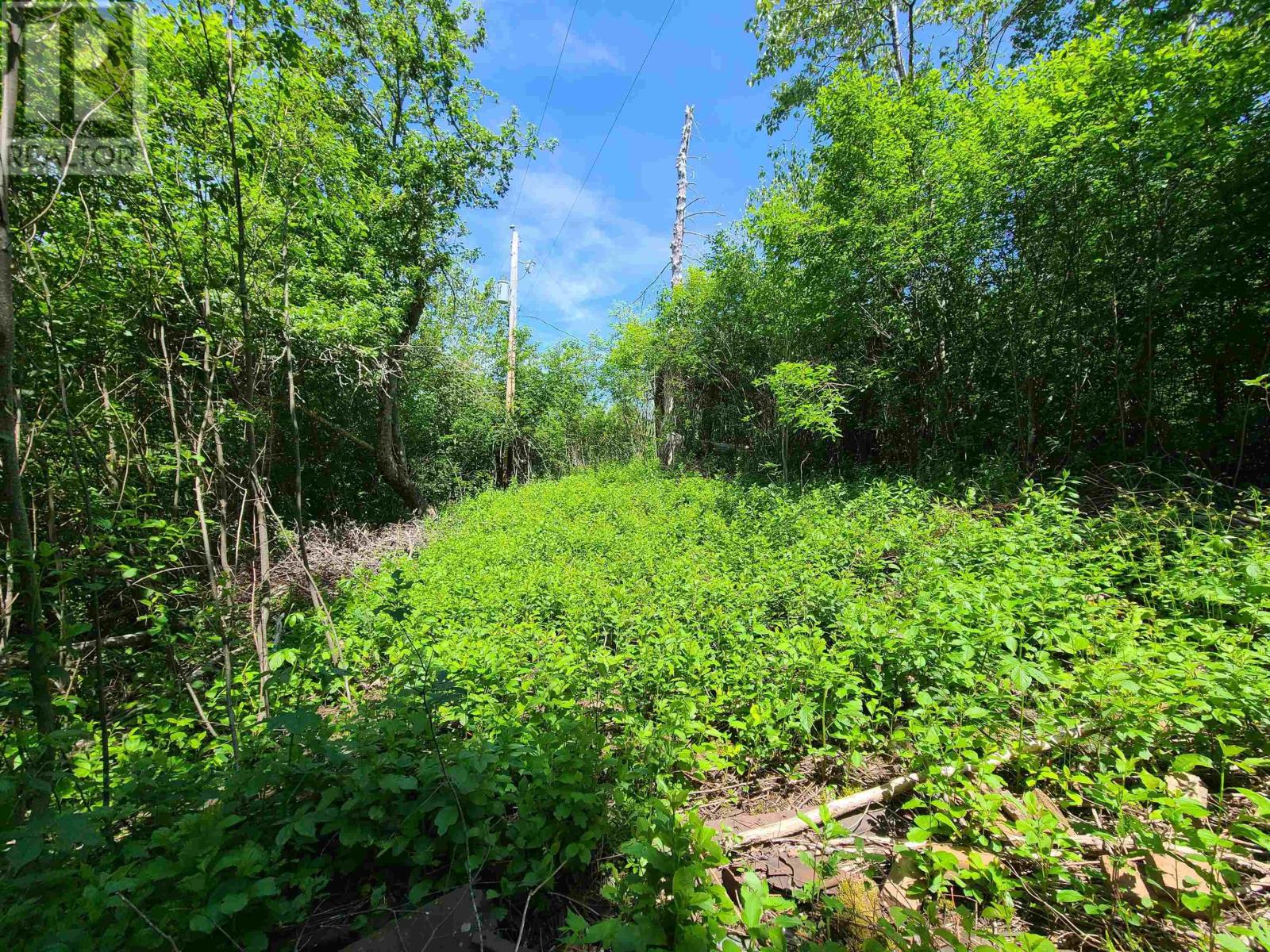 For sale Big Brook Road, River Denys, Nova Scotia B0E2Y0 202313818 REALTOR.ca