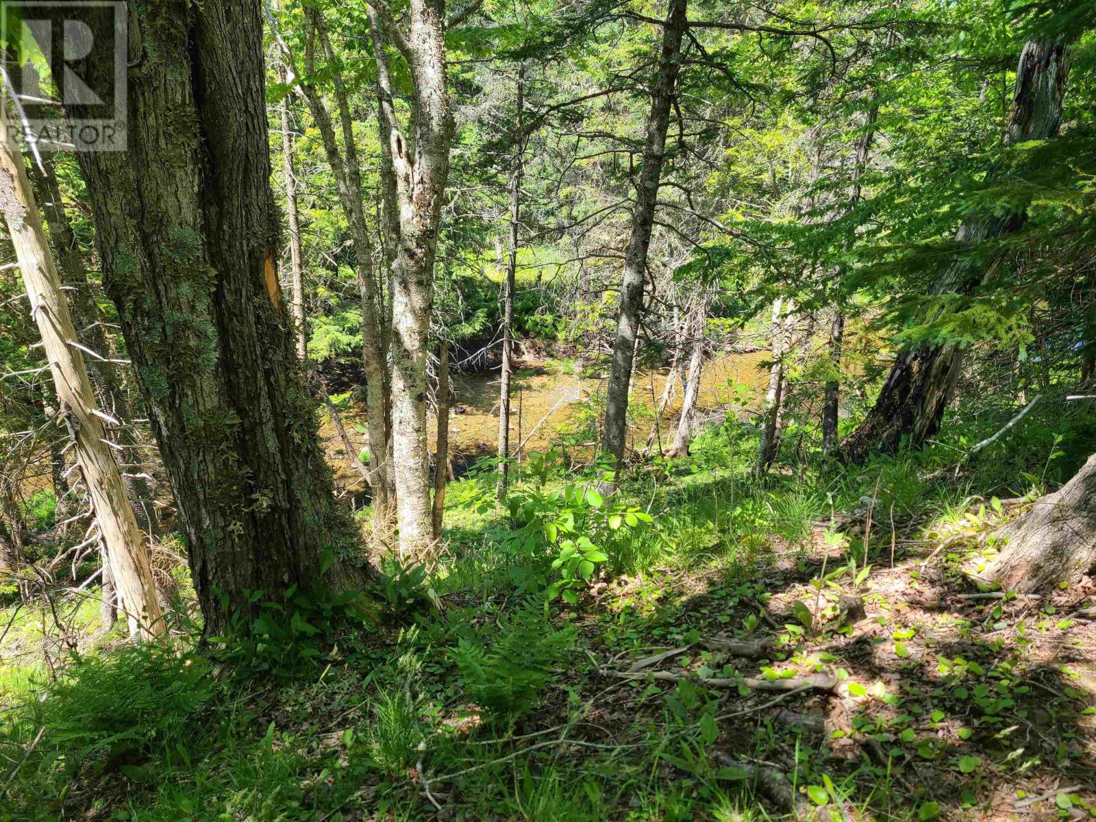 For sale Big Brook Road, River Denys, Nova Scotia B0E2Y0 202313818