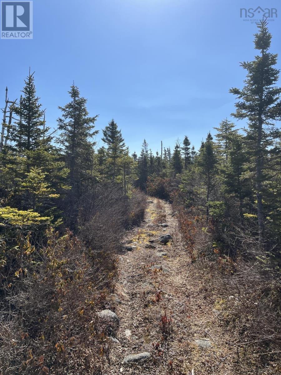 For sale LOT Bald Rock Road, Bald Rock, Nova Scotia B3V1K9 202315285 REALTOR.ca