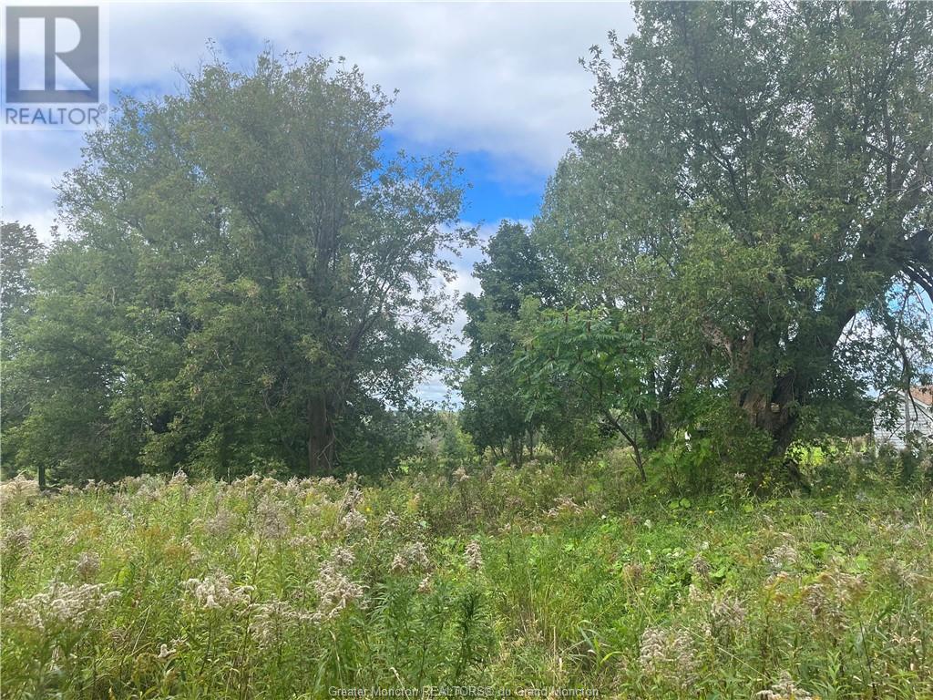 For sale 29 Back ST, Havelock, New Brunswick E4Z5C9 M155289 REALTOR.ca