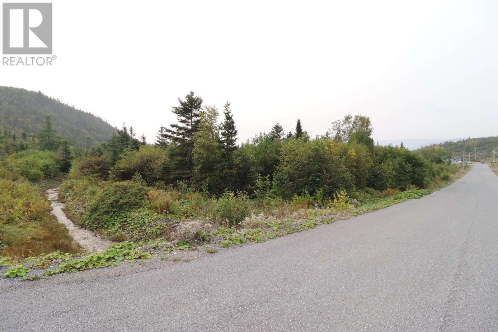 For sale 14 Hollands Memorial, Norris Point, Newfoundland & Labrador A0K3V0 1263628 REALTOR.ca