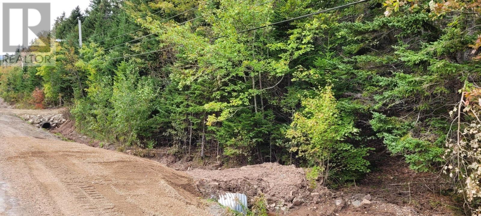 For sale Kings Road, Port Hastings, Nova Scotia B9A1X7 202320810