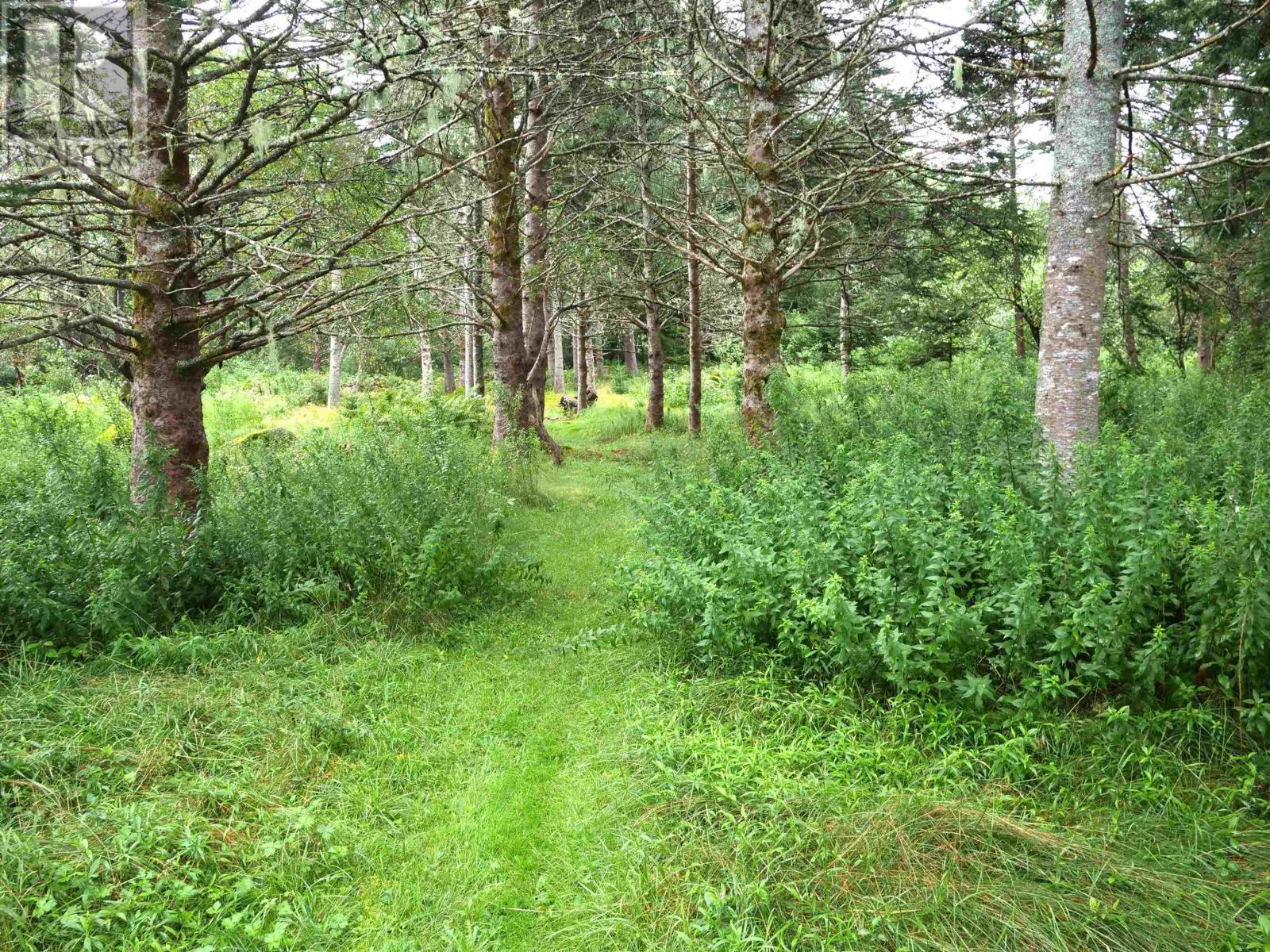 For sale 340 Long Cove Rd, Port Medway, Nova Scotia B0J2T0 202317291