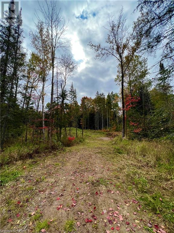 For sale 1759 ALSACE Road, Powassan, Ontario P0H1Z0 40493635
