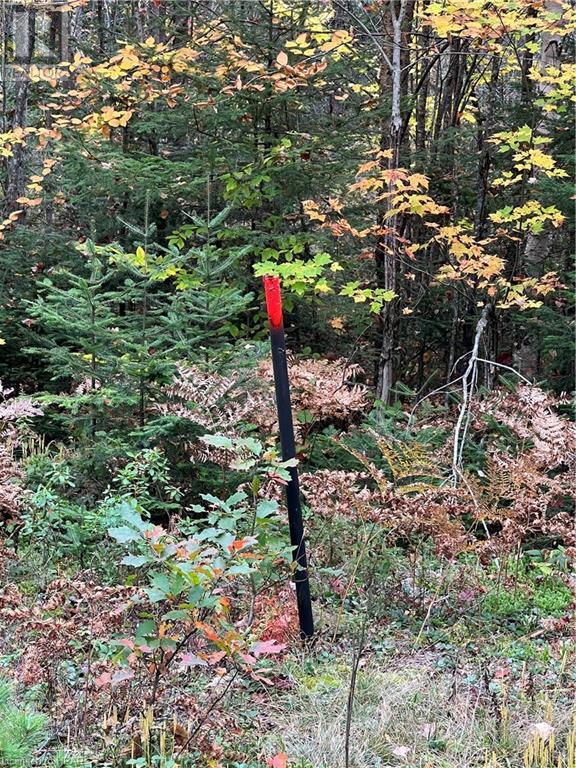 For sale 1759 ALSACE Road, Powassan, Ontario P0H1Z0 40493635