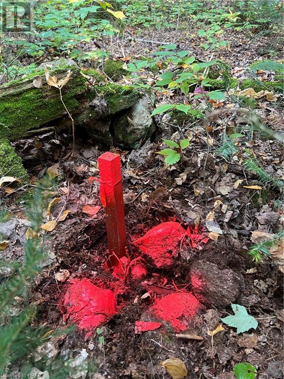 For sale 1759 ALSACE Road, Powassan, Ontario P0H1Z0 40493635