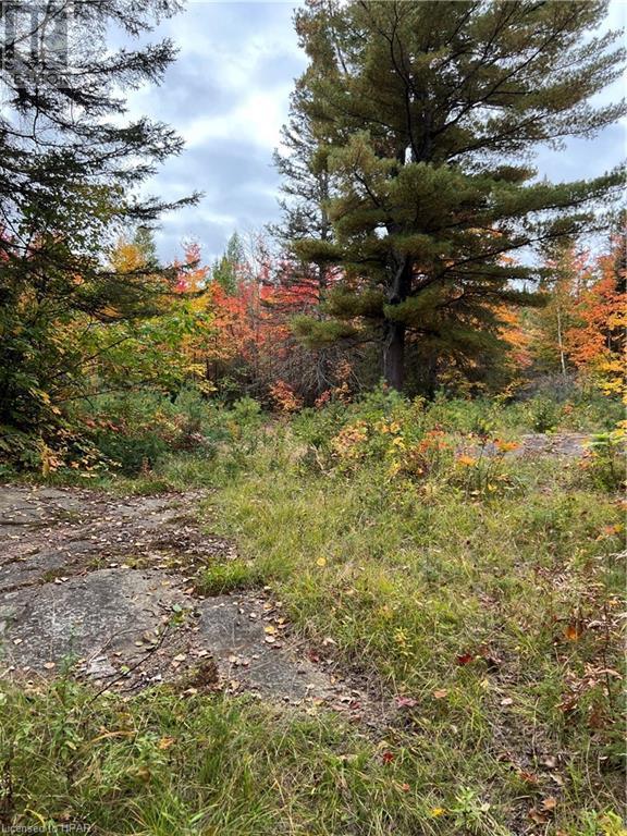 For sale 1759 ALSACE Road, Powassan, Ontario P0H1Z0 40493635