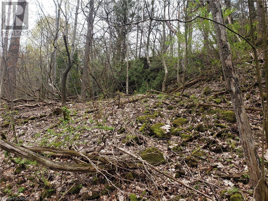 For sale 817 FRANK Street, Wiarton, Ontario N0H2T0 40493570 REALTOR.ca