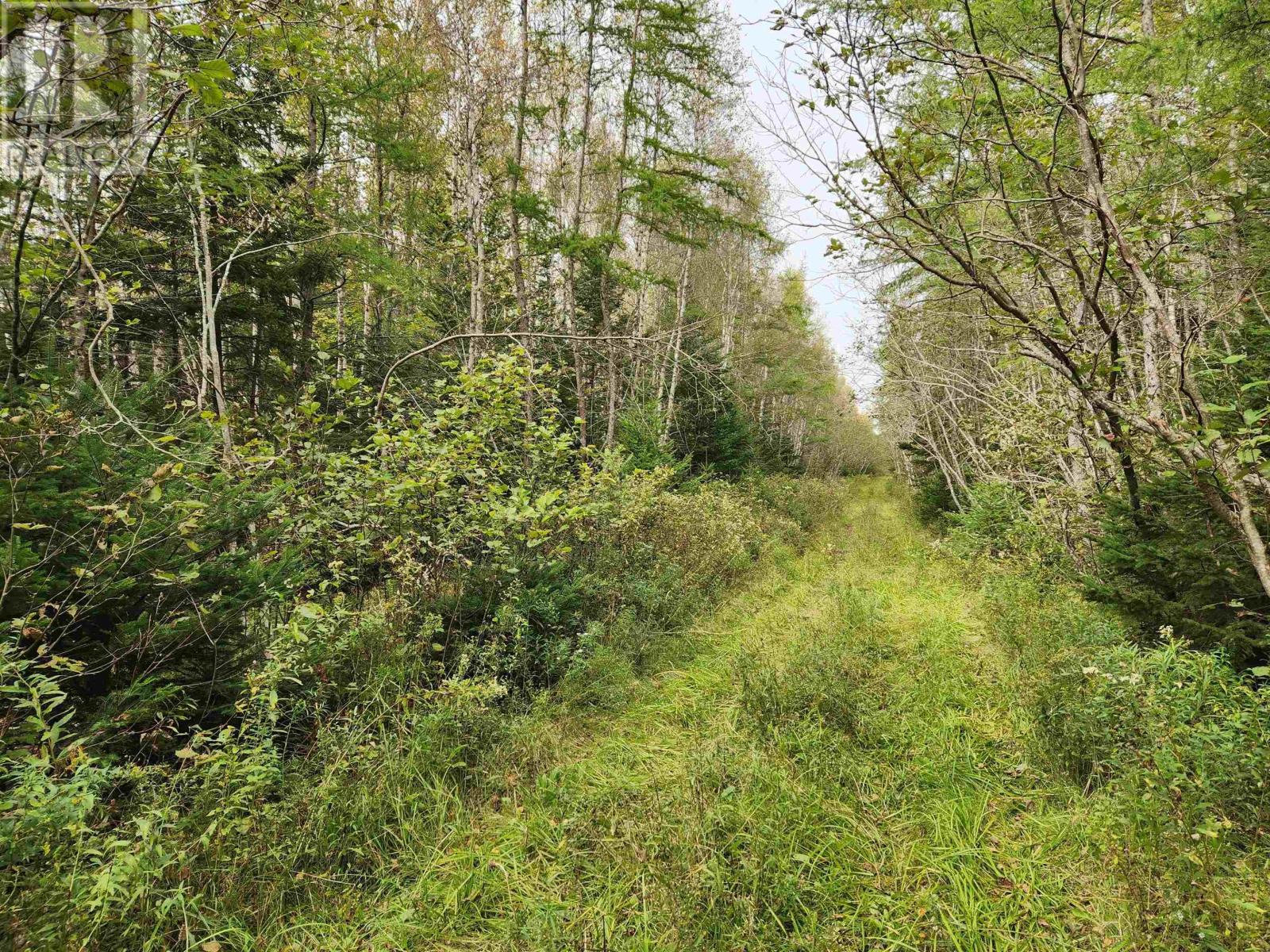 For sale Lot Highway 236, Nova Scotia B0N2L0 202320951