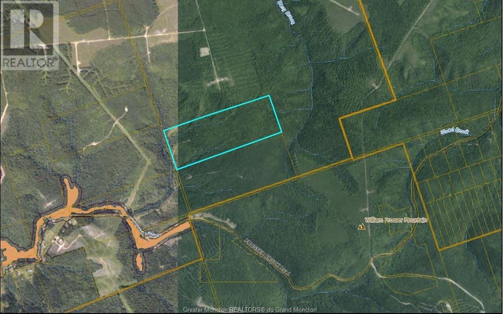 For sale Lot Prosser Brook RD, Prosser Brook, New Brunswick E4Z2E9