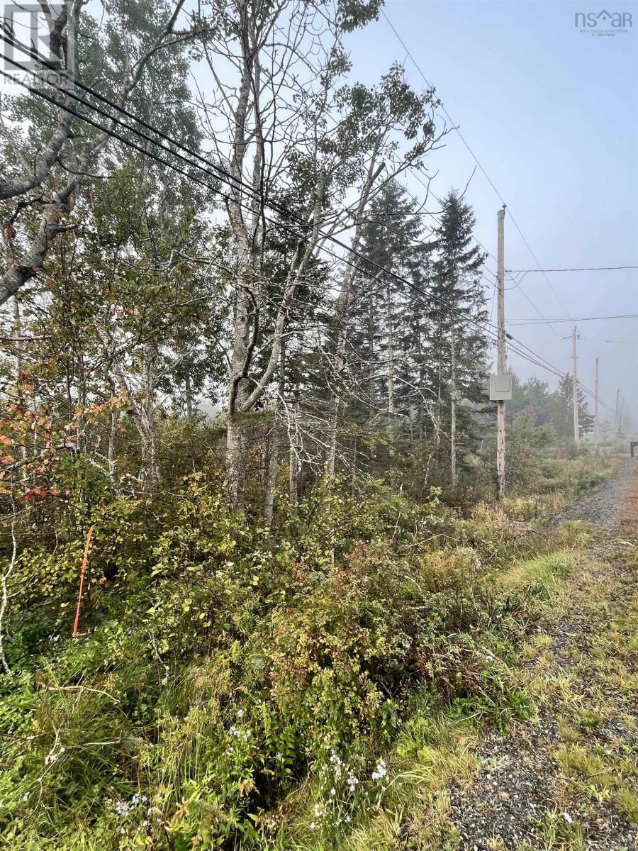 For sale Onslow Mountain Road, Onslow Mountain, Nova Scotia B6L6P9