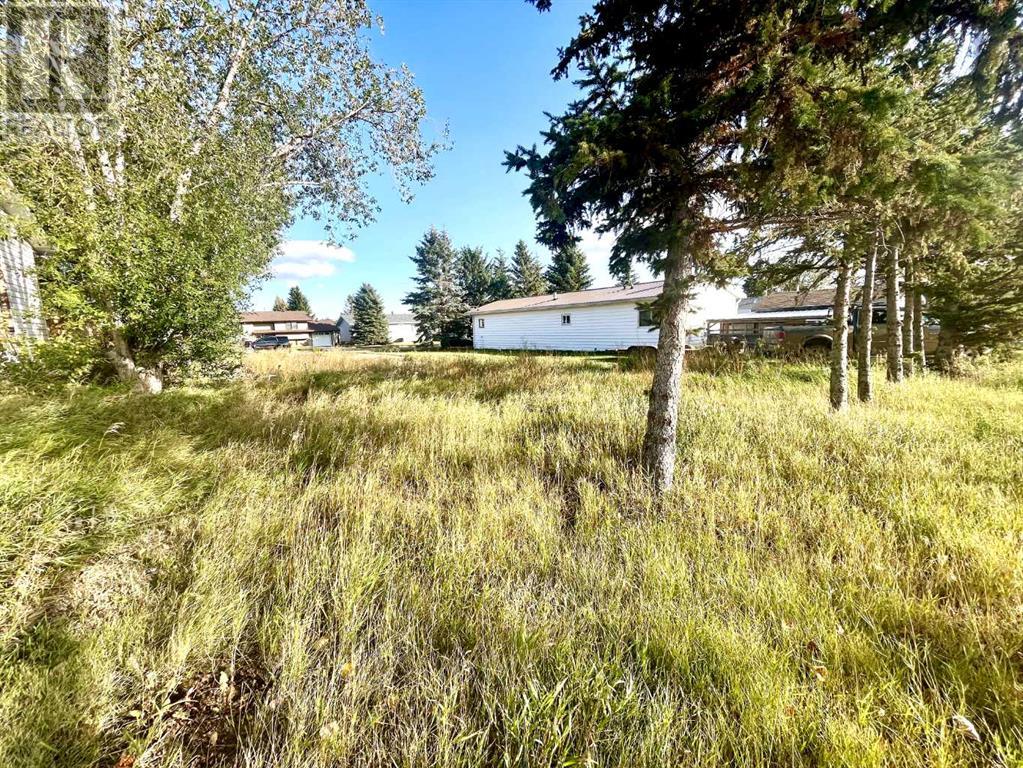 For sale 4834 59 Street, Killam, Alberta T0B2L0 A2085093 REALTOR.ca