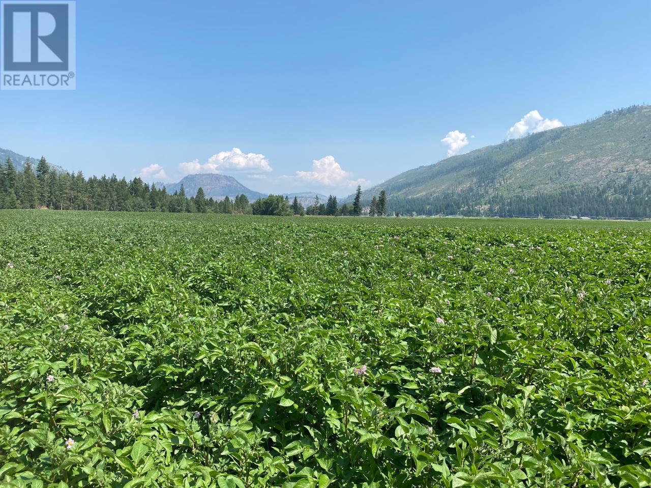 For sale 2 MCLURE FERRY ROAD, Heffley, British Columbia V0E2H0