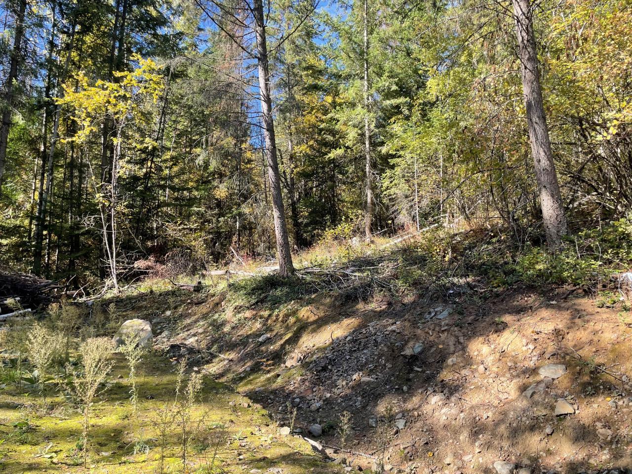 For sale 1691 FIRST STREET, Fruitvale, British Columbia V0G1L0