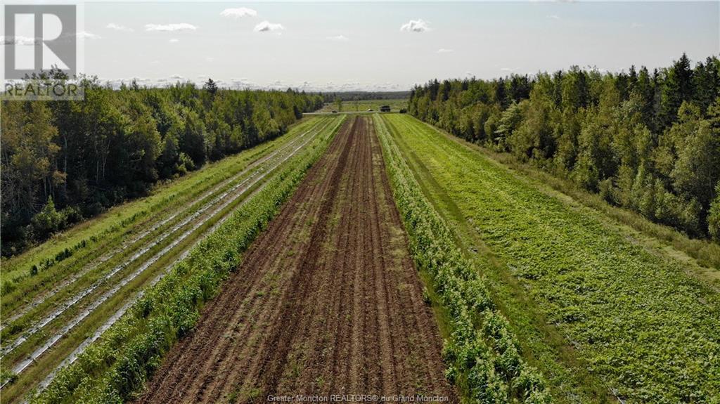 For sale 2359 Acadie, Bas Cap Pele, New Brunswick E4N1B3 M155676