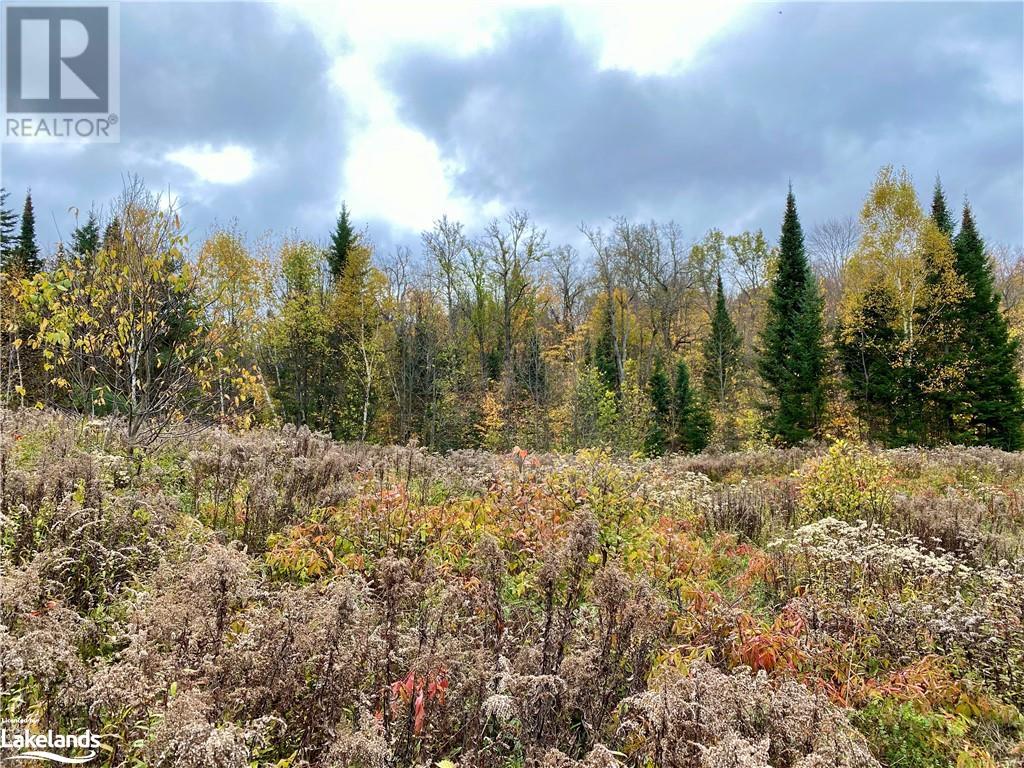 For sale 0 BROWN Lane, Loring, Ontario P0H1S0 40499939 REALTOR.ca