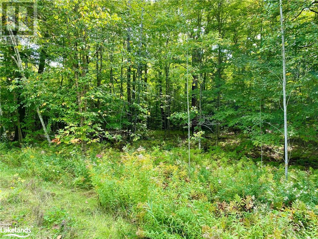 For sale 0 BROWN Lane, Loring, Ontario P0H1S0 40499939 REALTOR.ca