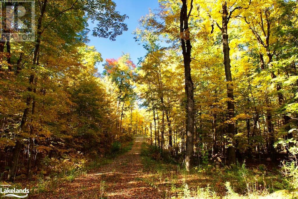 For sale 0 HIGHWAY 35, Minden, Ontario K0M2K0 40503297 REALTOR.ca