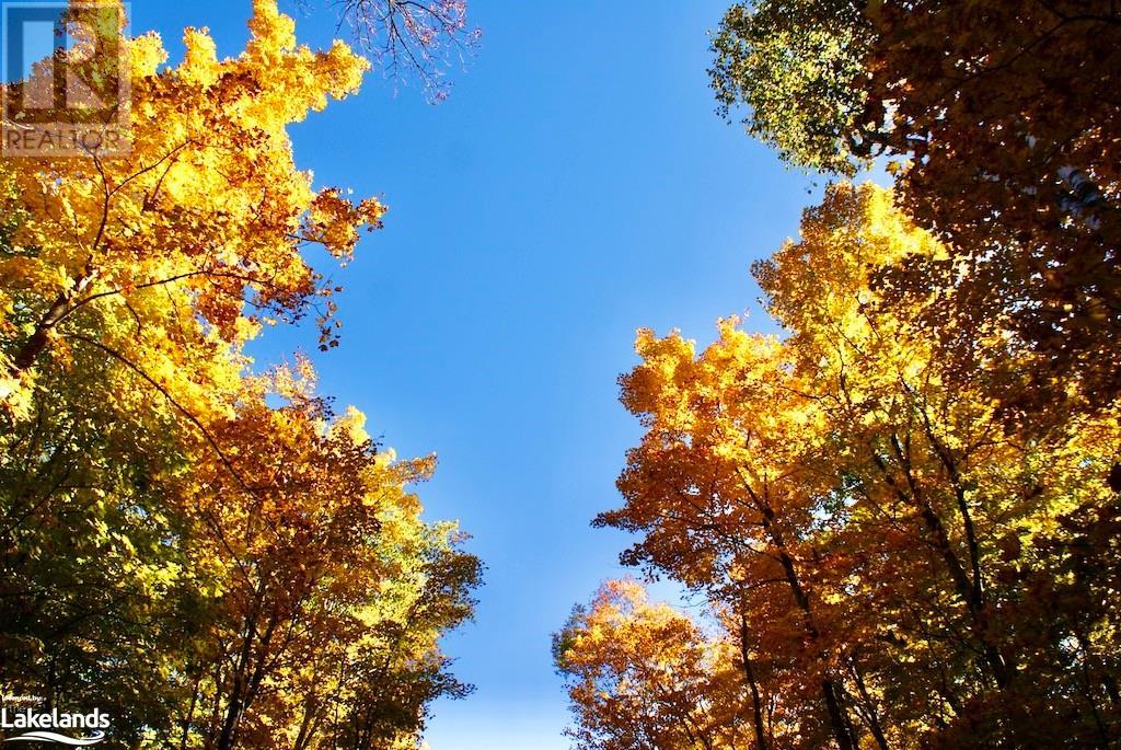 For sale 0 HIGHWAY 35, Minden, Ontario K0M2K0 40503297 REALTOR.ca