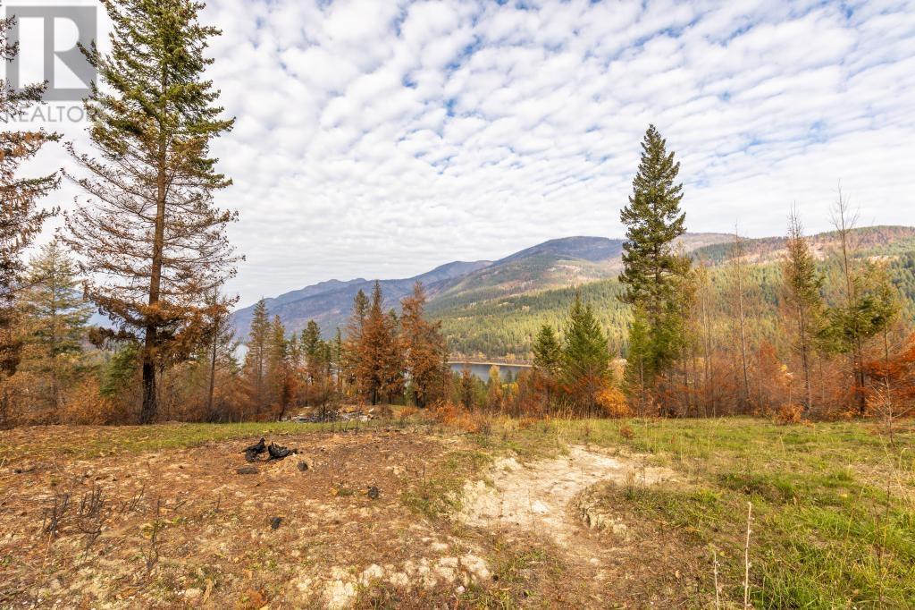 For sale 8767 HOLDING RD, Adams Lake, British Columbia V0E1M0 175633