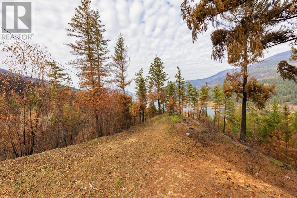 For sale 8767 HOLDING RD, Adams Lake, British Columbia V0E1M0 175633