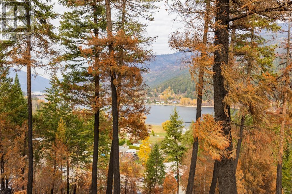 For sale 8767 HOLDING RD, Adams Lake, British Columbia V0E1M0 175633