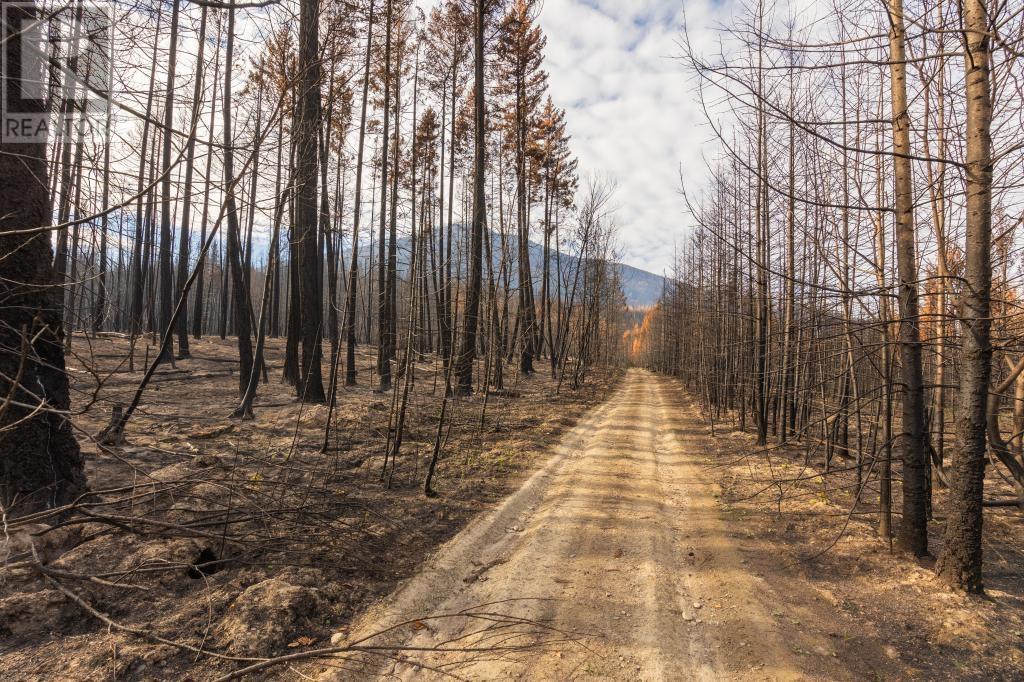 For sale 8767 HOLDING RD, Adams Lake, British Columbia V0E1M0 175633