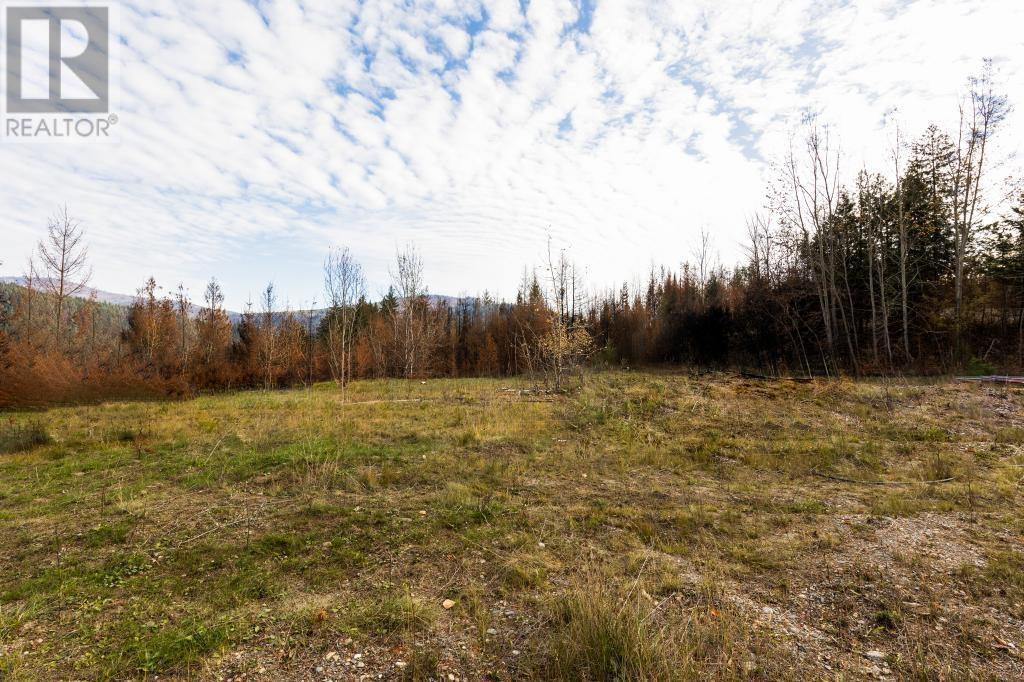 For sale 8767 HOLDING RD, Adams Lake, British Columbia V0E1M0 175633