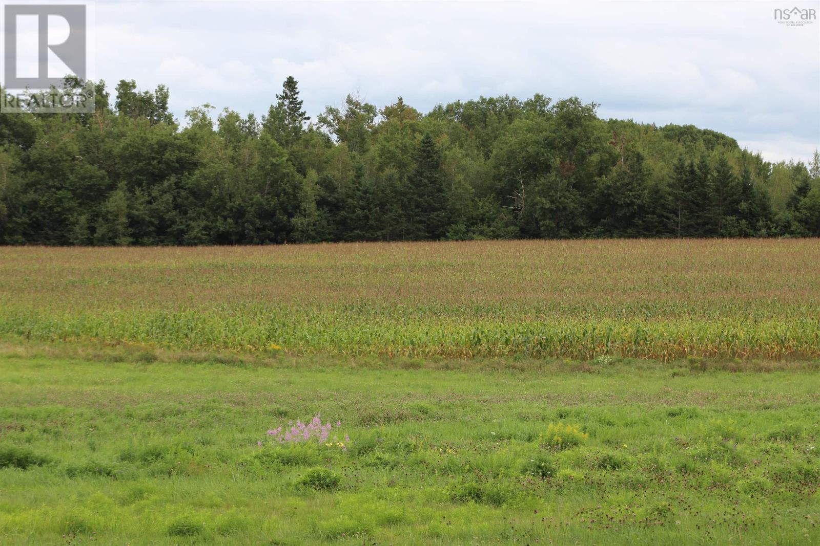 For sale Brooklyn Street, Selfridge Corner, Nova Scotia B0P1R0