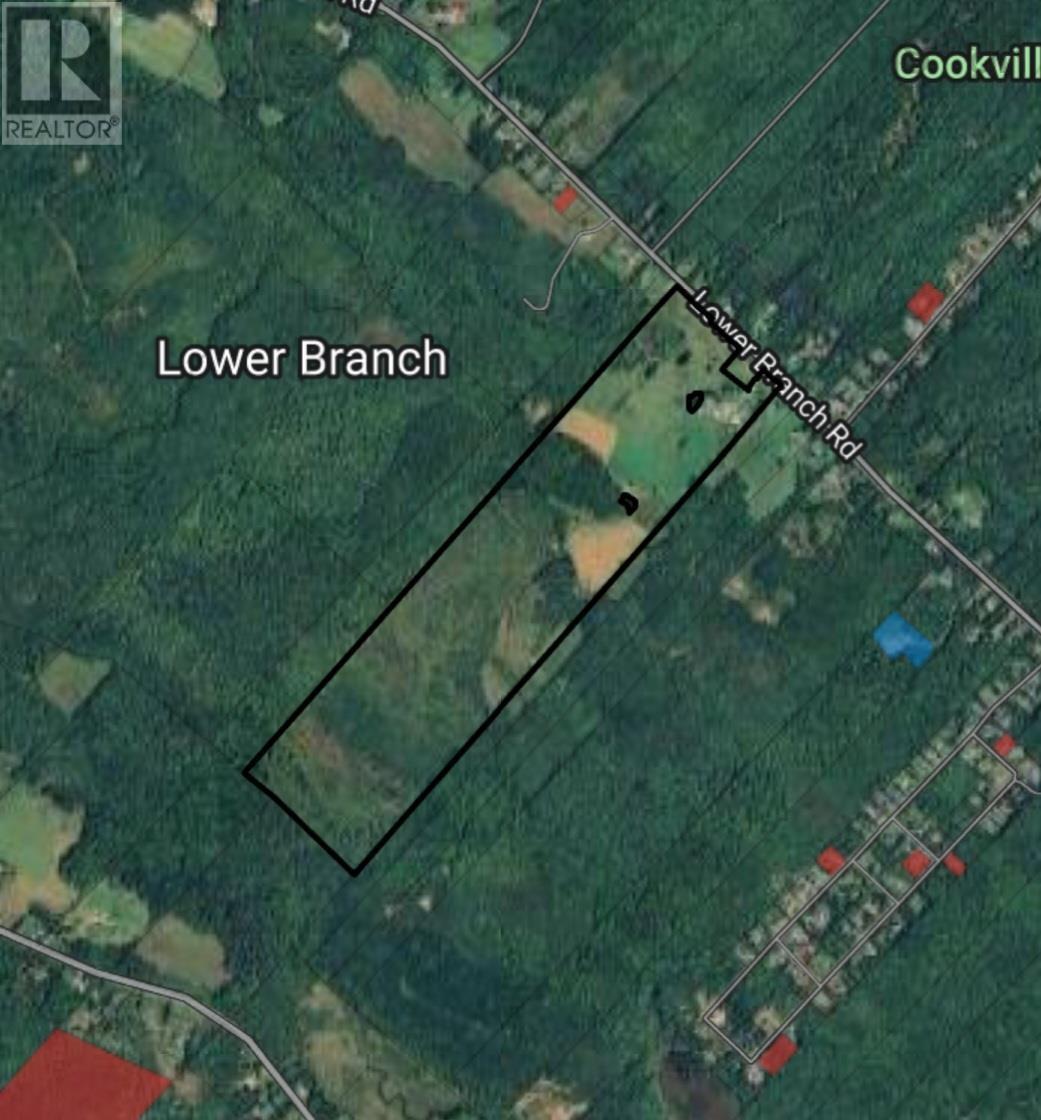 For sale 307 Lower Branch Road, Lower Branch, Nova Scotia B4V4M5