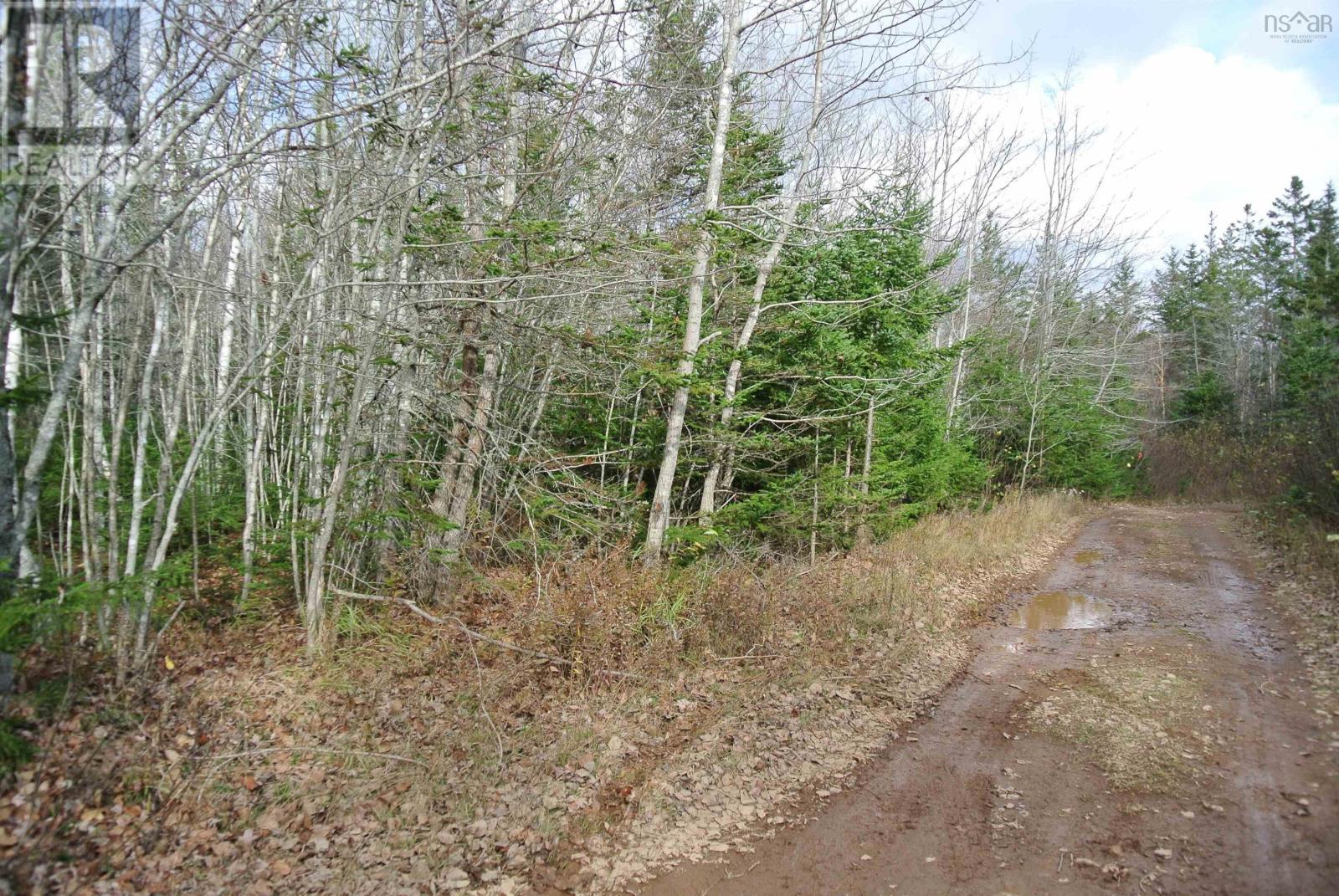 For sale Lot Mountain Road, East Margaretsville, Nova Scotia B0P1R0 202323645 REALTOR.ca