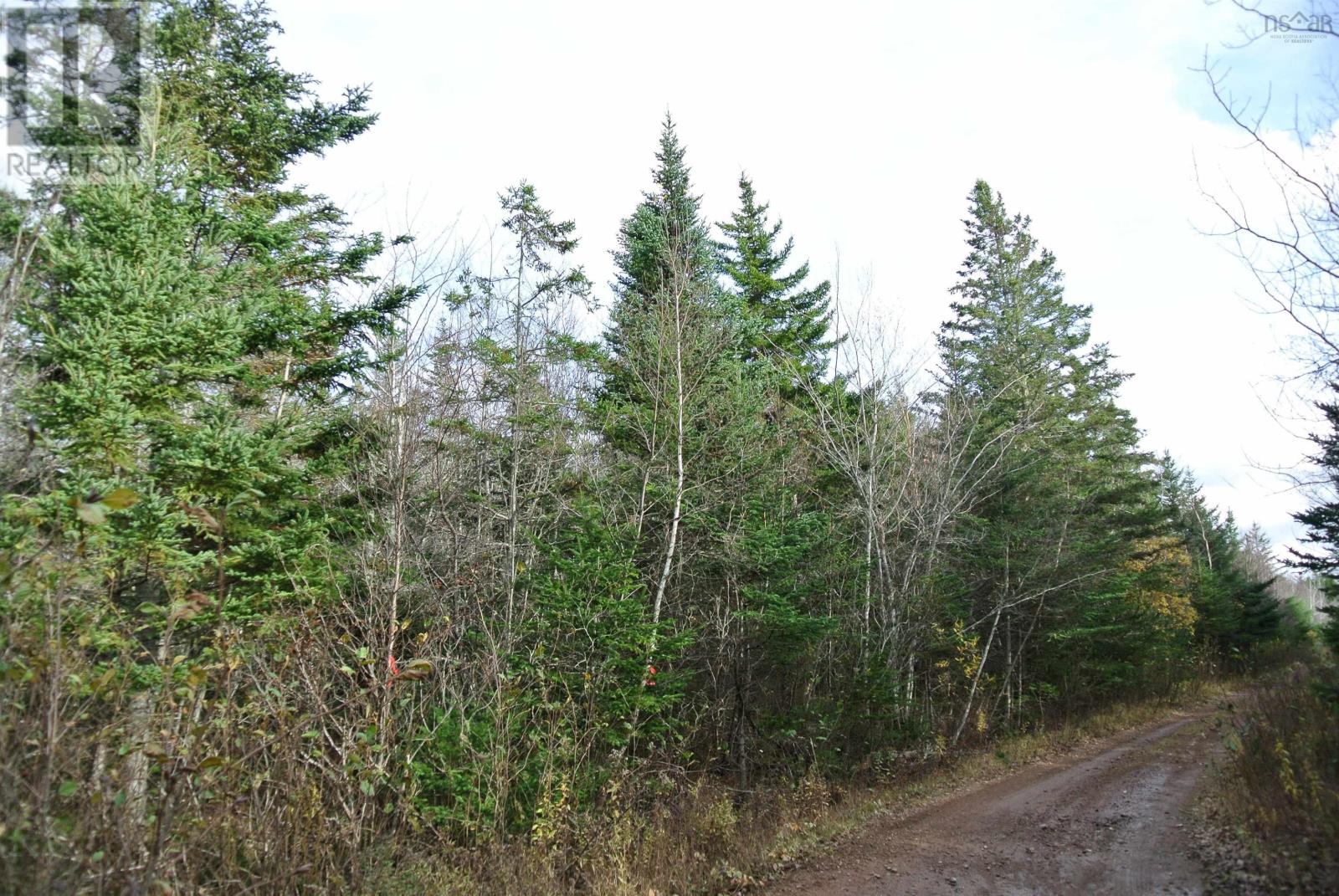 For sale Lot Mountain Road, East Margaretsville, Nova Scotia B0P1R0 202323645 REALTOR.ca